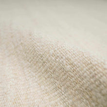 Carregar imagem no visualizador da galeria, Ayumu Off White Hand Woven Wool Area Rug
