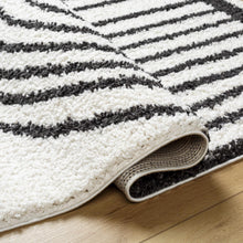 Carregar imagem no visualizador da galeria, Bauer Plush Black Rainbow Rug - Clearance
