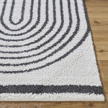 Carregar imagem no visualizador da galeria, Bauer Plush Black Rainbow Rug - Clearance
