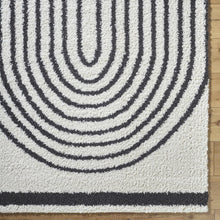 Carregar imagem no visualizador da galeria, Bauer Plush Black Rainbow Rug - Clearance

