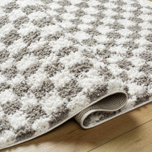 Load image into Gallery viewer, Kieu Taupe Checkered Plush Rug
