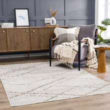Load image into Gallery viewer, Baqer Bone &amp; Tan Textured Performance Rug - Clearance
