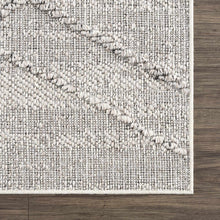 Load image into Gallery viewer, Baqer Bone &amp; Taupe Textured Performance Rug - Clearance

