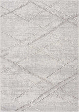 Load image into Gallery viewer, Baqer Bone &amp; Taupe Textured Performance Rug - Clearance
