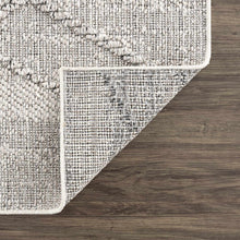 Load image into Gallery viewer, Baqer Bone &amp; Taupe Textured Performance Rug - Clearance
