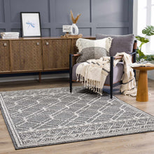 Load image into Gallery viewer, Diah Black &amp; Bone Area Rug - Clearance
