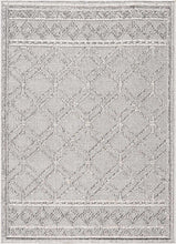 Load image into Gallery viewer, Diah Bone Area Rug - Clearance
