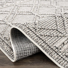 Load image into Gallery viewer, Diah Bone Area Rug - Clearance
