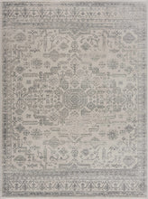 Load image into Gallery viewer, Tigried Ivory &amp; Gray 2323 Area Rug - Clearance
