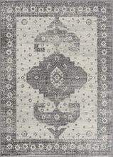 Load image into Gallery viewer, Marash 4605 Gray Area Carpet - Clearance
