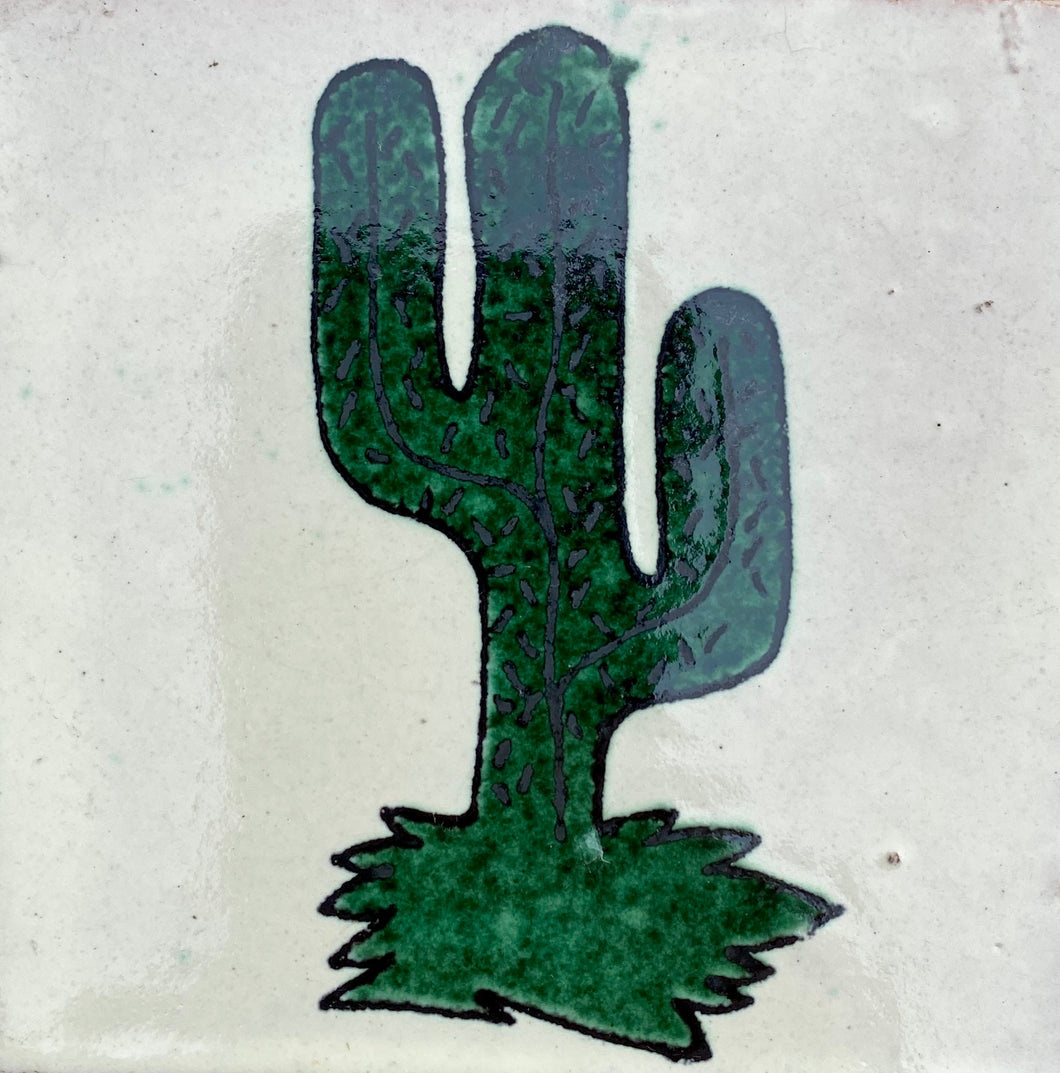 Cactus I
