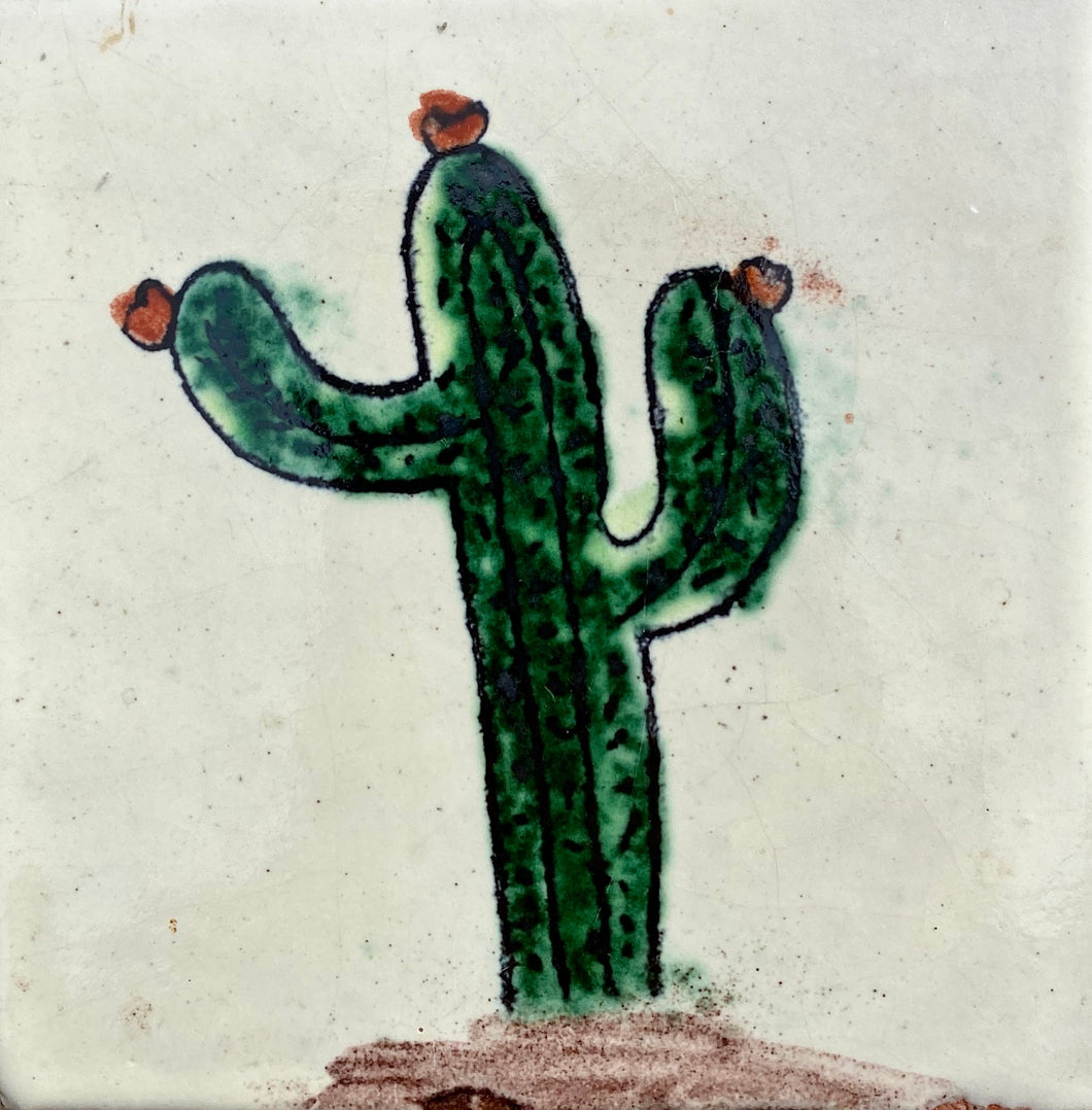 Cactus II