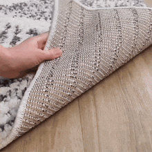 Load image into Gallery viewer, Trunding Plush Area Rug
