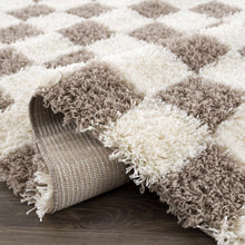 Carregar imagem no visualizador da galeria, Atira Brown Checkered Area Rug
