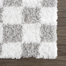 Carregar imagem no visualizador da galeria, Atira Gray Checkered Area Rug
