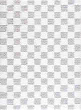 Carregar imagem no visualizador da galeria, Atira Gray Checkered Area Rug

