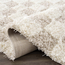 Carregar imagem no visualizador da galeria, Atira Light Brown Checkered Area Rug
