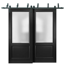 Load image into Gallery viewer, Lucia 22 Matte Black Double Barn Door with Frosted Glass | Black Bypass Rail
