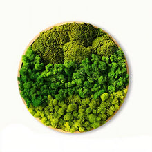 Carregar imagem no visualizador da galeria, Moss Wall Art
