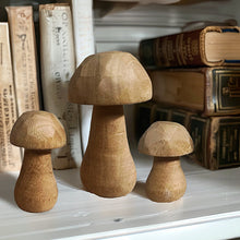 Carregar imagem no visualizador da galeria, Whimsical Wooden Mushrooms, Set of 3
