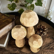 Carregar imagem no visualizador da galeria, Whimsical Wooden Mushrooms, Set of 3
