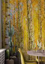 Carregar imagem no visualizador da galeria, Autumn Scenic Birch Tree Forest Wall Mural | Peel and Stick Wallpaper. #6202
