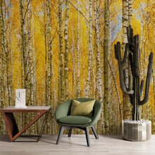 Cargar imagen en el visor de la galería, Autumn Scenic Birch Tree Forest Wall Mural | Peel and Stick Wallpaper. #6202
