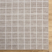 Carregar imagem no visualizador da galeria, Anicet Checkered Washable Wool Area Rug
