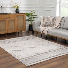 Load image into Gallery viewer, Amaga High-Low Rustic Rug
