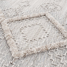 Load image into Gallery viewer, Amaga High-Low Rustic Rug

