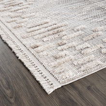 Load image into Gallery viewer, Poydras High-Low Rustic Rug
