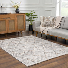 Load image into Gallery viewer, Bogtong High-Low Rustic Rug
