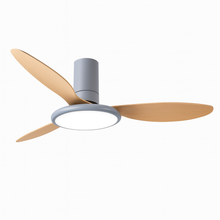 Carregar imagem no visualizador da galeria, Zerua Ceiling Fan
