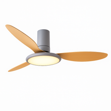 Carregar imagem no visualizador da galeria, Zerua Ceiling Fan
