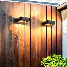 Carregar imagem no visualizador da galeria, Abel Outdoor Wall Lamp
