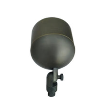 Carregar imagem no visualizador da galeria, Adjustable Spot Light Solid Brass | G53 Par36 Socket and Spike Mount
