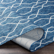 Carregar imagem no visualizador da galeria, Aldford Area Rug - Clearance
