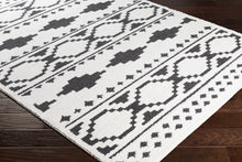 Carregar imagem no visualizador da galeria, Amoret Area Rug - Clearance
