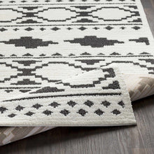 Carregar imagem no visualizador da galeria, Amoret Area Rug - Clearance
