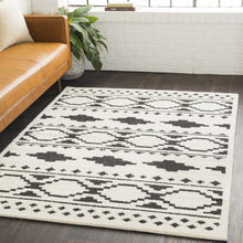 Carregar imagem no visualizador da galeria, Amoret Area Rug - Clearance
