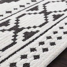 Carregar imagem no visualizador da galeria, Amoret Area Rug - Clearance
