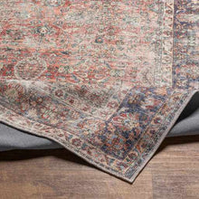 Load image into Gallery viewer, Rust Anahawan Distressed Washable Area Rug - Clearance
