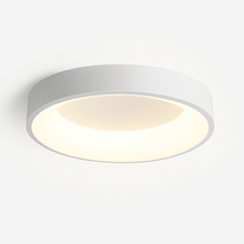 Carregar imagem no visualizador da galeria, Annabelle Ceiling Light
