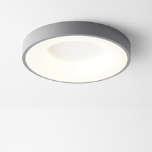 Carregar imagem no visualizador da galeria, Annabelle Ceiling Light
