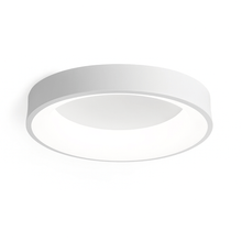 Carregar imagem no visualizador da galeria, Annabelle Ceiling Light

