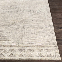 Carregar imagem no visualizador da galeria, Archer Area Rug

