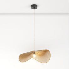 Load image into Gallery viewer, Asalu Pendant Light
