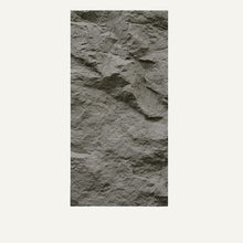 Load image into Gallery viewer, Asthene Wall Panel
