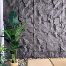 Load image into Gallery viewer, Asthene Wall Panel
