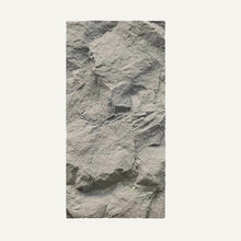 Load image into Gallery viewer, Asthene Wall Panel
